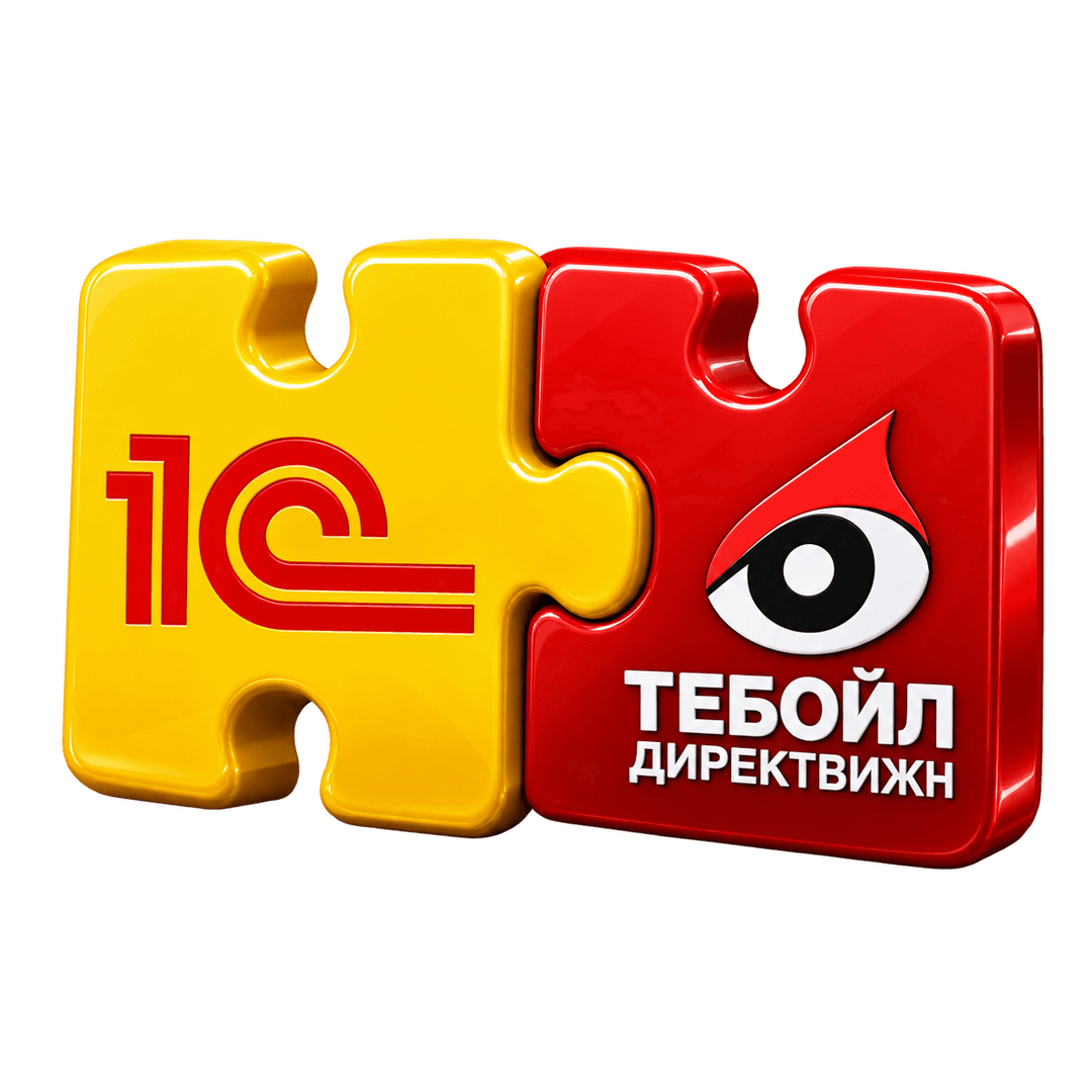 Расширение 1С для обмена с ТЕБОЙЛ ДИРЕКТВИЖН